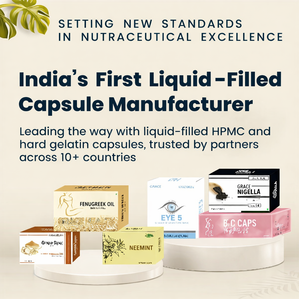 S N International Portfolio